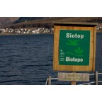 Biotop Haidersee Südufer